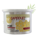 Cera Miel Depilatoria Spa Cremosa 600g