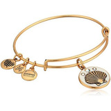 Alex And Ani Brazalete Para Mujer Color Infusion Shell Iii