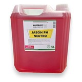 Jabon Ph Neutro Aroma A Frutos Rojos 5 Litros