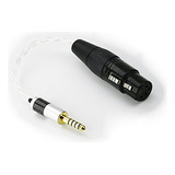 Adaptador De Audio Plata Para Auriculares Sony Wm1a,