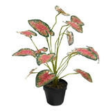Planta Artificial De Calidad Caladio Caladium Rojo 50cm $sd