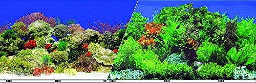 Fondo Decorativo Para Acuario Reef, 24  X 50'