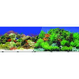 Fondo Decorativo Para Acuario Reef, 24  X 50'