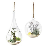 Mkono 2 Pack Glass Hanging Planter Air Plant Terrario Globo 