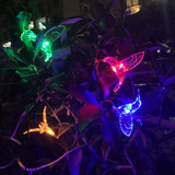 Cadena De Luces Led Con Forma De Colibrí Alimentada Por Ener