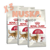 Royal Canin Fit Cat 1.5 Kg X 3 Unidades Gato Nuska