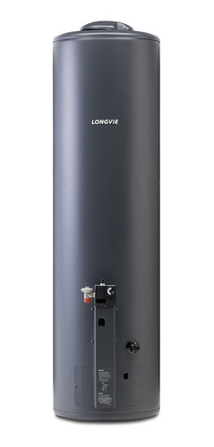 Termotanque Longvie Tp600ap Potenciado 132l Superior Apoyar