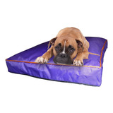 Colchon Liso Antidesgarro 80x60x10 Cm Cama Para Perros