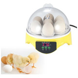 Una Pequeña Incubadora Digital Con 7 Huevos, Aproximadamente