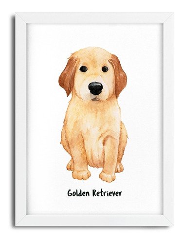 Quadro Decorativo Cachorro Golden Retriever 1102 - 45x33 Cm