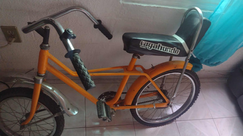 Bicicleta Bagabundo