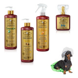 Kit Dolce Pet Cães Shampoo Seco Suave+condicio Pet E Colônia