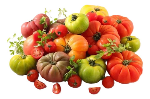 Semilla Packs Semillas Tomate Variedades Mas De 100 Semillas