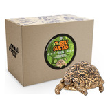 Petmmal Tortuguetas Vegetal 3kg Granel