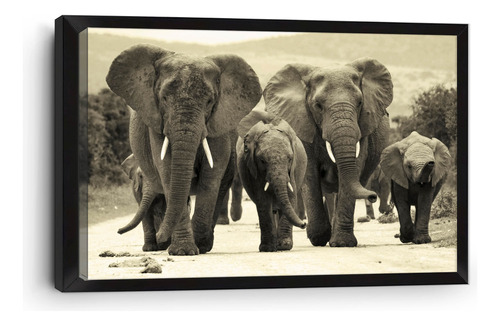 Cuadro Canvas Marco Inglés Elefantes Familia 90x140cm