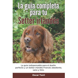 La Guia Completa Para Tu Setter Irlandes: La Guia Indispensa