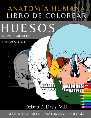 Libro Para Colorear De Anatomia Humana: Huesos Fondo Negro C