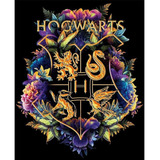 Pintura De Diamantes 5d De Harry Potter Para Decoración, 40