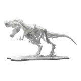 Esqueleto Dinosaurio Rex Didáctico Armable Articulado Pintar