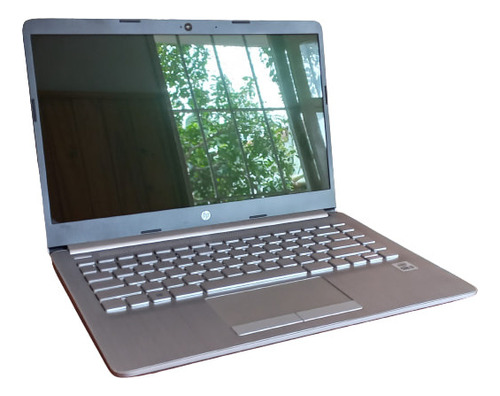 Notebook Hp 348 G7 I3 10110u 4g 256g W10