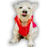  Chaleco Impermeable Para Perros M