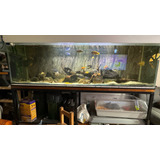 Pecera Acuario 250x60x70 1050 Litros