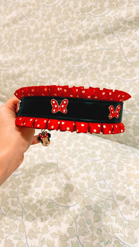 Collar Para Mascota Grande