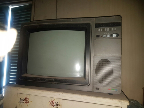 Televisor Sony 20 Pulgadas Trinitom Funciona Perfecto