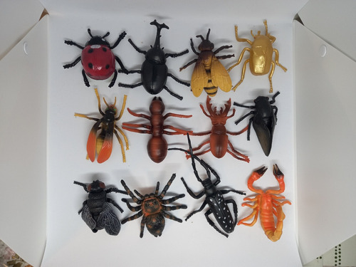 Lote Insectos Bicho 10a17cm 12 Modelos Juguete Figura