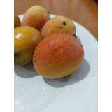 Semillas De Mango Durazno