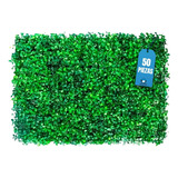 Muro Verde Follaje Artificial Sintético 50 Pzs