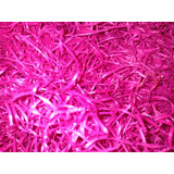 Viruta De Madera Color Fucsia X 1 Kg