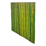 Panel De Cañas De Bambu Tacuara 1m X 1.8m Altura