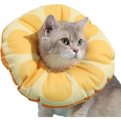 Collar De Recuperación Para Gatos,collar Isabelino Para | Meses sin interés