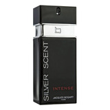 Perfume Silver Scente Intense Eau De Toilette Masculino