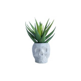 Maceta Calavera Low Poly Para Suculentas