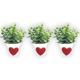 3 Mini Vasos + Suculentas Artificiais Plantinhas Verdes W9x
