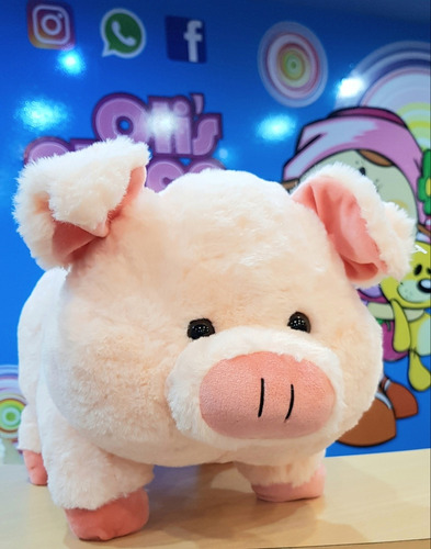 Chancho De Peluche Mediano 25 Cm Chanchito Divino 