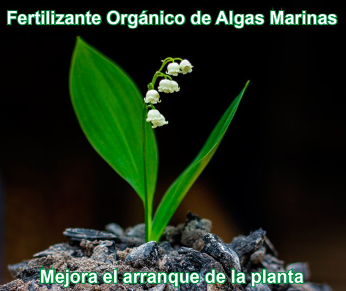 Fertilizante De Algas Marinas Concentrado Por 10 Ml (8 Lt) 