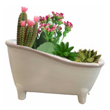 Maceta Cerámica Tina De Baño Cactus Suculenta Minimalista