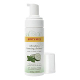 Espuma De Limpieza Burt's Bees Refrescante Con Pepino 142 Ml