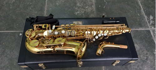 Sax Alto Trevor James Orig. Saxofone De Luthier Troco+$