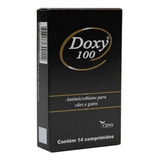 Doxy 100 Cepav Antimicrobiano Cães E Gatos 14 Comprimidos
