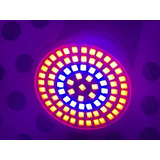 Lâmpada 80 Leds Todas As Plantas Cultivo Growroom E27 110v Cor Da Luz Full Spectrum