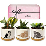 Regalos De Gatos Para Amantes De Los Gatos: Bonita Deco...