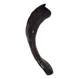 Shofar Carnero Kosher 47.5cm Spdf028 + Enseñanza+ Envío 