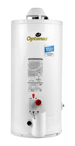 Boiler Calentador De Agua Gas Natural Optimus 40 Litros
