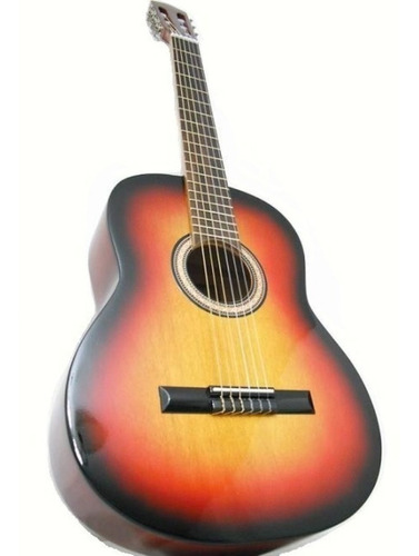 Guitarra Electrocriolla Acustica Funda Pua Garantia Colores