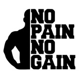 Etiqueta Adhesivo De Pvc No Pain No Gain Gym R870