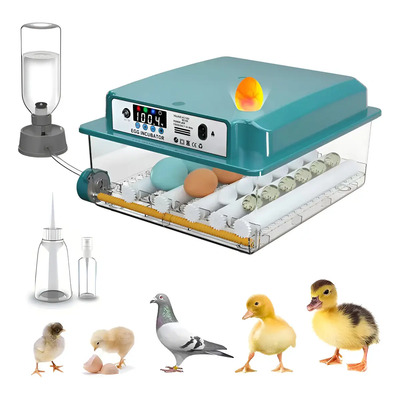 Incubadora para 16 huevos con control de temperatura y función de riego automático, con giro automático de los huevos y lámpara para miñe. Apta para huevos de gallina, pato y ganso. | Envío gratis